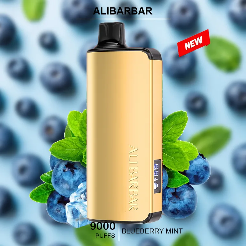 Alibarbar Ingot Blueberry Mint – 9000 Puffs