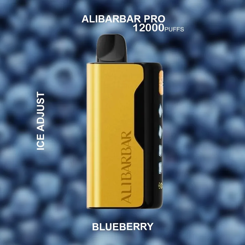 Alibarbar Pro Ice Adjust Blueberry – 12000 Puffs