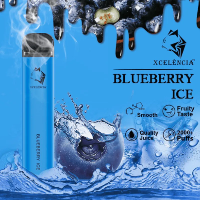 Gunnpod Blueberry Ice – 2000 Puffs