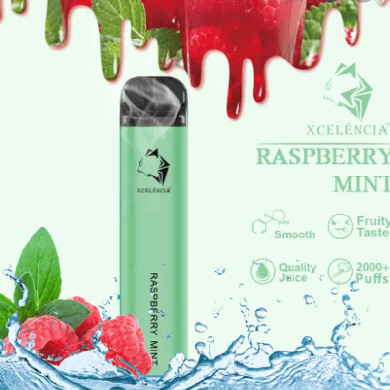 Gunnpod Raspberry Mint – 2000 Puffs