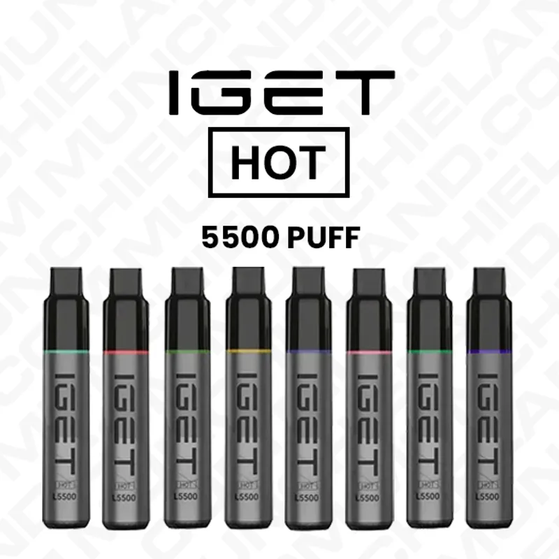 IGET Hot Disposable Vape Wholesale (5500 Puffs)