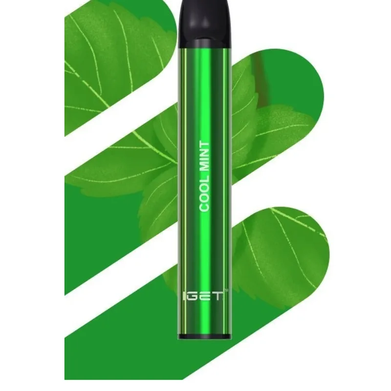 IGET Shion Cool Mint – 600 Puffs