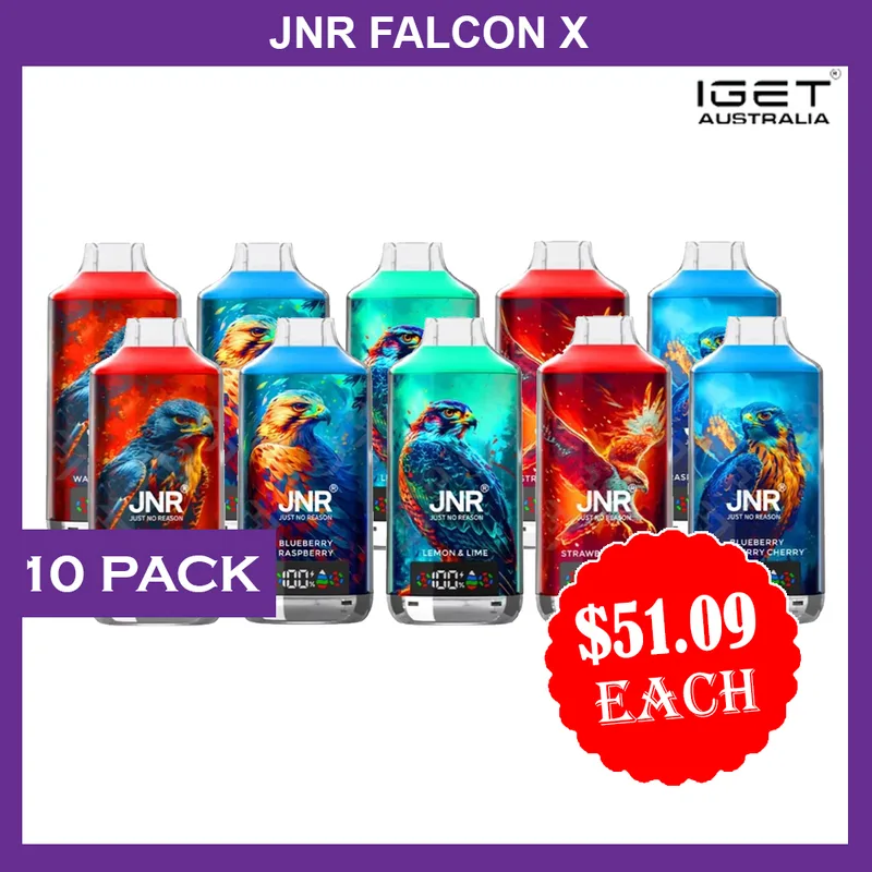 JNR Falcon X – 18000 Puffs – 10 Pack