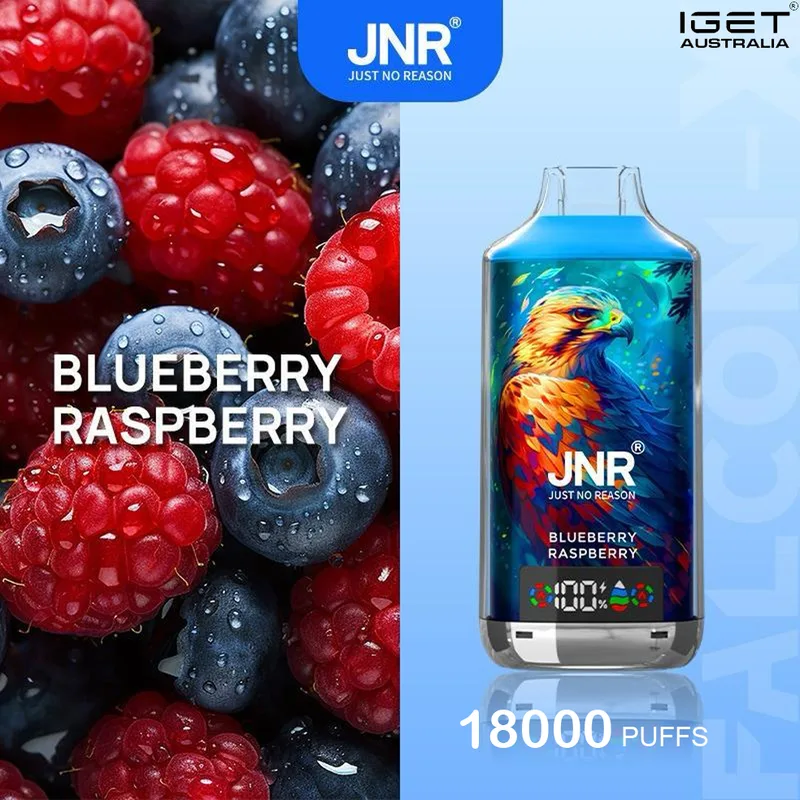 JNR Falcon -X Blueberry Raspberry – 18000 Puffs