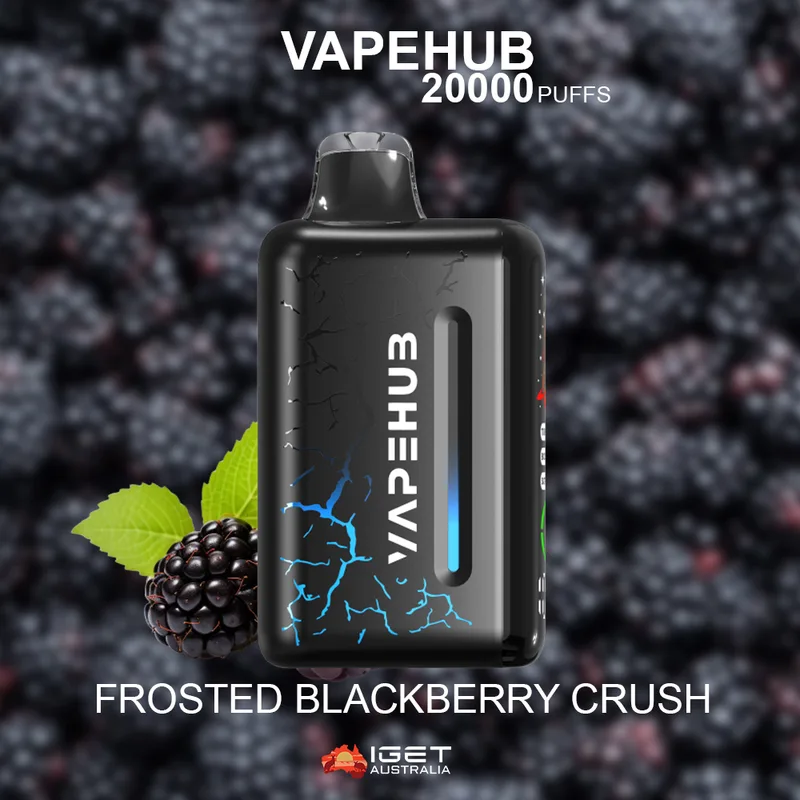 Vapehub Frosted Blackberry Crush – 20000 Puffs