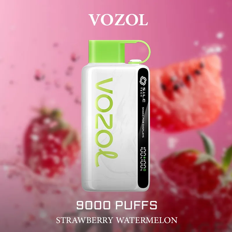 Vozol Strawberry Watermelon – 9000 Puffs