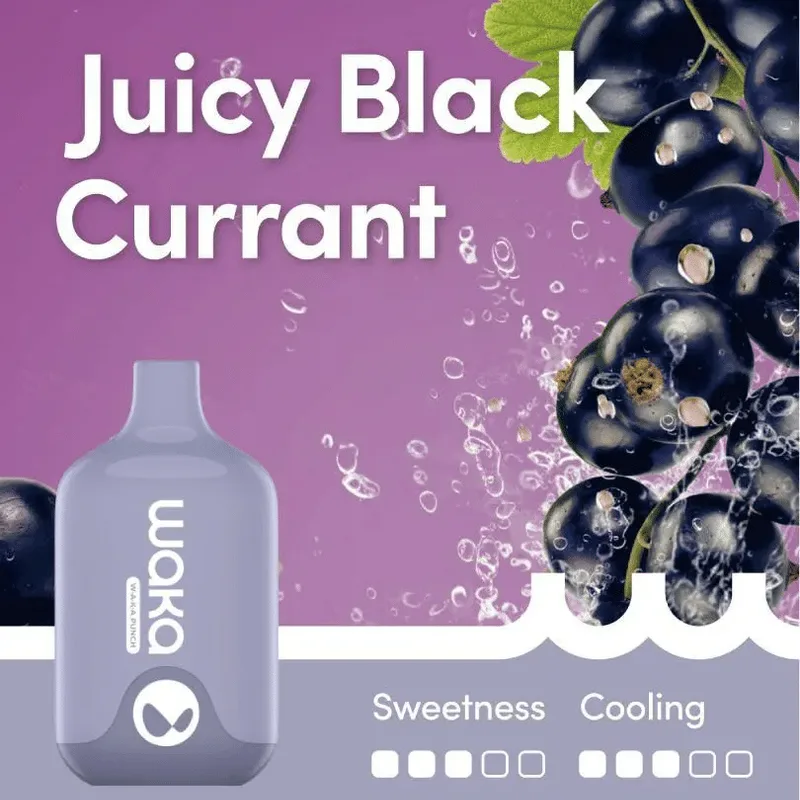 Waka Smash Juicy Black Currant – 6000 Puffs