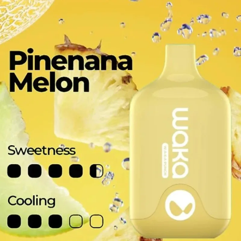 Waka Smash Pineapple Melon – 6000 Puffs